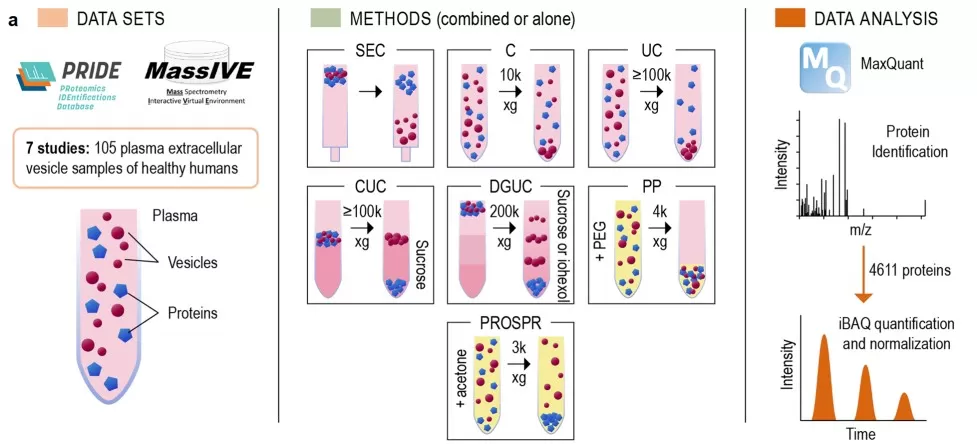 Proteomics meta-analysis of plasma extracellular vesicles